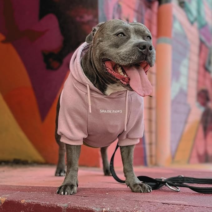 Spark Paws Dog Hoodie - Premium Quality, Buttery Soft, Superior Comfort and Fit, Calming Fleece Interior, Suitable for All Breeds - Dusty Pink - M
