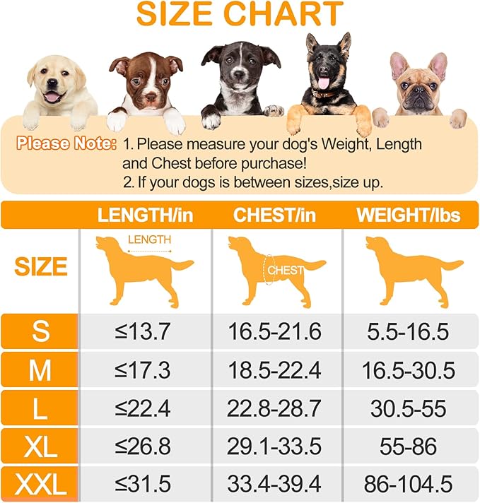 Bienbee Soft Dog Bathrobe,Super Absorbent & Quick-Drying Dog Robe with Hood, Cozy Drying Coat for After Bath, Grey XL