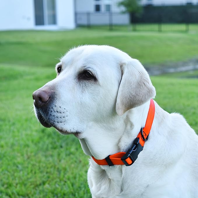 Dogline Biothane Waterproof Dog Collar with Quick Release Buckle Strong Coated Nylon Webbing with Odor- Proof for Easy Care Easy to Clean Fits Small Medium or Large Dogs, Orange 1" W 15-23" L