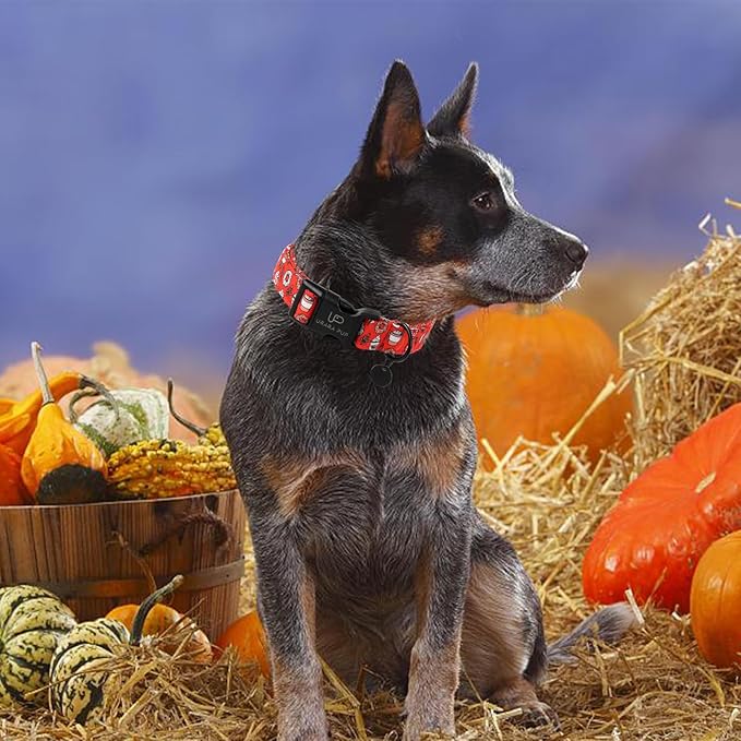 Fall Cotton Dog Collar with Plastic Buckle, Cute Doughnut Autumn Puppy Collar, Adjustable&Lightweight Pet Collar for Small Medium Large Girls or Boys