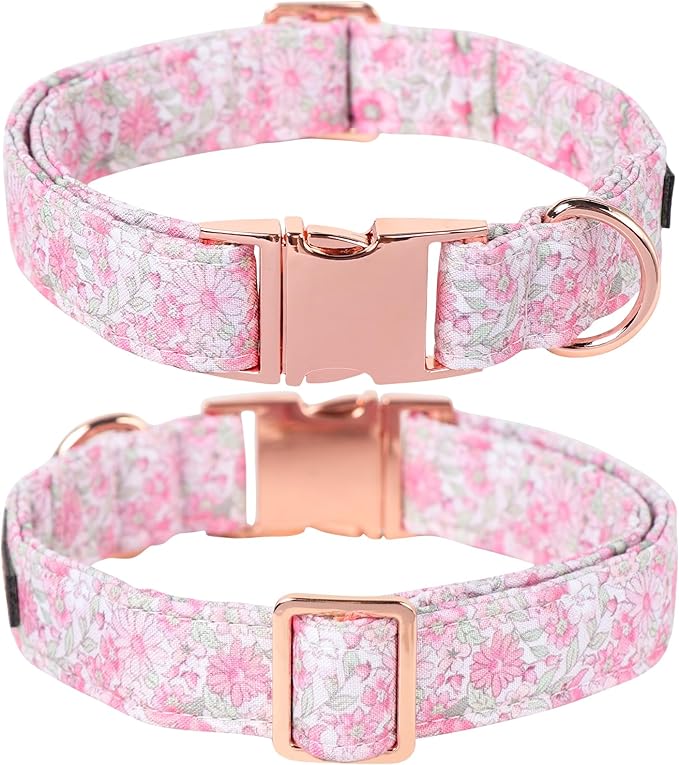 Lionet Paws Floral Dog Collar, Heavy-Duty Cute Pink Flower Collar with Metal Buckle for Male Female Puppies,Spring Pink Flower, Medium, Neck 13.5-22 inches