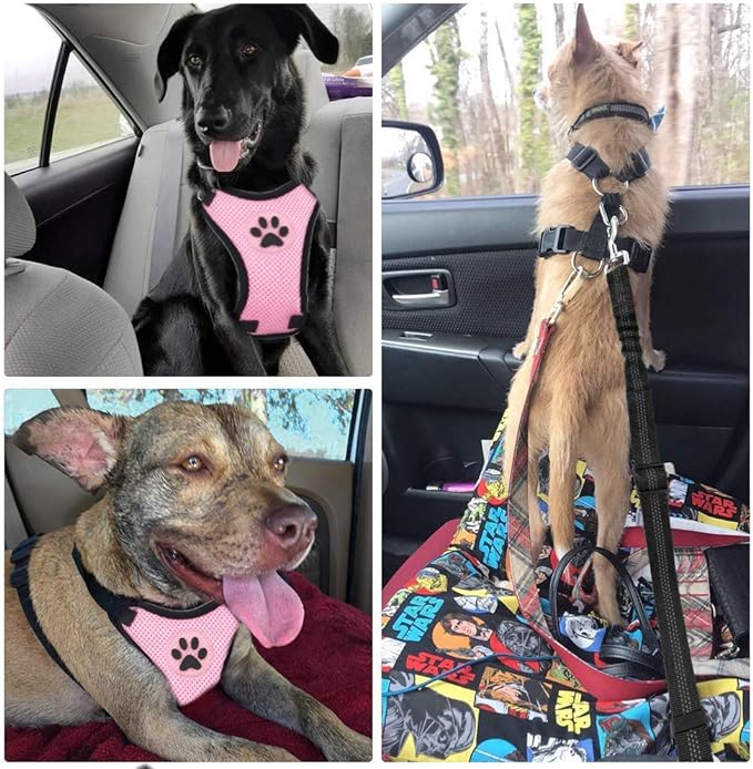 SlowTon Dog Seat Belt Harness for Car, Dog Car Harness Adjustable Mesh Breathable & Dog Seatbelt Safety Tether with Elastic Bungee for Small Medium Large Pets(Pink, Single Clip, M)