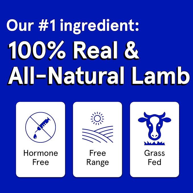 Real Meat Dog Treats - 12oz Bag of Bite-Sized Air-Dried Lamb Jerky for Dogs - Grain-Free Jerky Dog Treats, Free-Range, Grass Fed Lamb - All-Natural High Protein