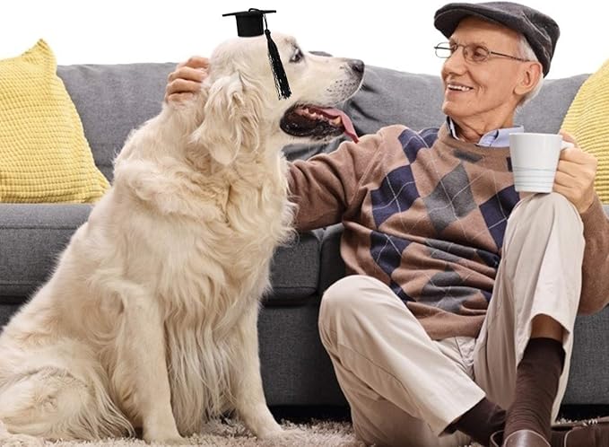 KESYOO 4Pcs Dog Graduation Cap Mini Graduation Cap for Crafts Small Graduation Caps for Decoration Pet Graduation Caps for Holiday Costume Accessory