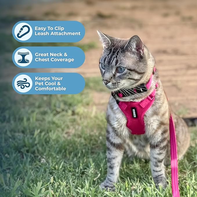 Voyager Step-in Lock Adjustable Cat Harness w. Cat Leash Combo Set with Neoprene Handle 5ft - Supports Small, Medium and Large Breed Cats by Best Pet Supplies - Fuchsia, XXXS