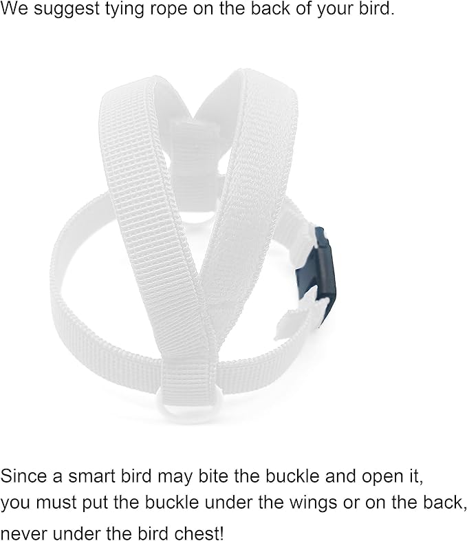 Bird Harness with Buckle Clip and A Leash, Outdoor Flying Kit for Bird Parrots Cockatiel S Size Weight 85-105 Grams, White