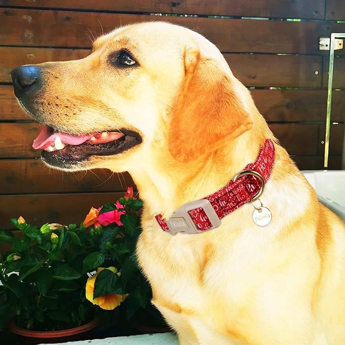Faleela Dog Collar - Cute & Comfy Cotton Pet Collar, Adjustable Lightweight Design with Quick-Release Buckle, for Small, Medium & Large Dogs - Multiple Styles Available (Christmas, Medium)
