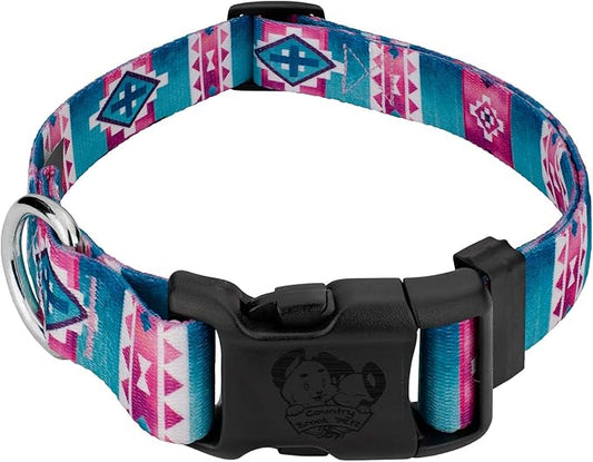 Country Brook Petz - Deluxe Albuquerque Dog Collar - Made in The U.S.A. - Country and Western Collection Featuring Rustic Designs (1 Inch, Large)