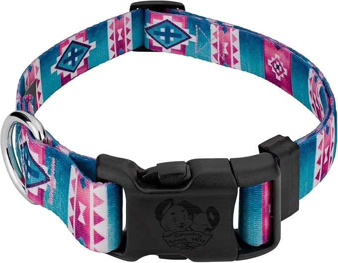 Country Brook Petz - Deluxe Albuquerque Dog Collar - Made in The U.S.A. - Country and Western Collection Featuring Rustic Designs (1 Inch, Medium)