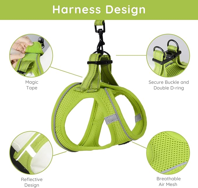 BELLA & PAL Puppy Harness with Leash Set, Dog Harness for Small Dogs No Pull, Dog Leash for Small Dogs, Step in Harness for Extra Small Dogs, Avocado Green Harness, L