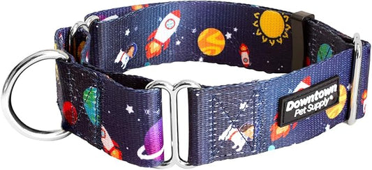 Downtown Pet Supply - Martingale Collar for Dogs - Dog Training Collar - Big, Wide & Thick Dog Collar - Escape-Proof, Weatherproof, Durable and Comfortable - Space - Medium Dog Collar