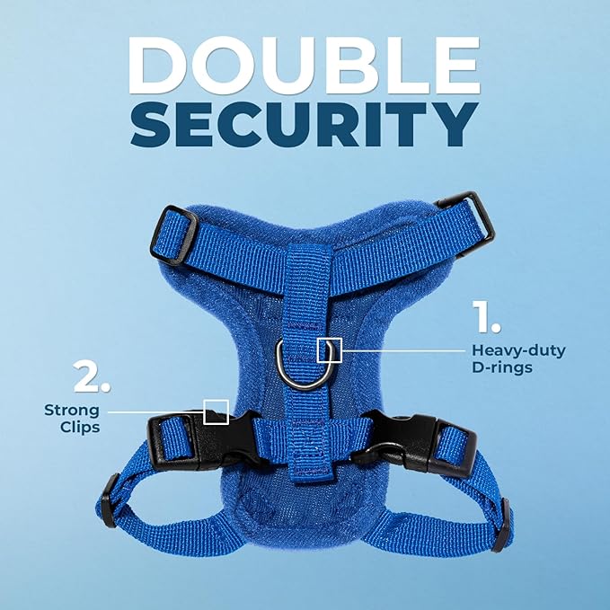Voyager Step-in Lock Adjustable Cat Harness w. Cat Leash Combo Set with Neoprene Handle 5ft - Supports Small, Medium and Large Breed Cats by Best Pet Supplies - Royal Blue, XS