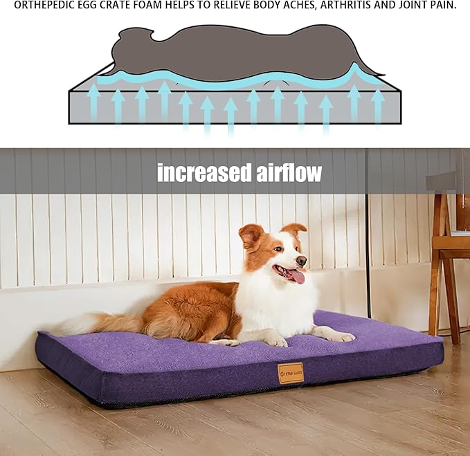 Patas Lague Orthopedic Dog Bed for Small Dogs, Soft Comfortable Waterproof Egg Crate Foam Small Pet Beds Mat with Removable Washable Cover, 20''X15'' Purple