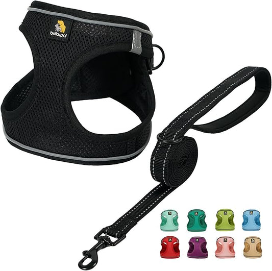 BELLA & PAL Puppy Harness with Leash Set, Dog Harness for Small Dogs No Pull, Dog Leash for Small Dogs, Step in Harness for Extra Small Dogs, Black Harness, M