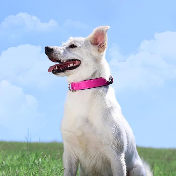 Didog Soft Padded Dog Collars for Medium Dogs, Lightweight and Breathable Dog Collar Waterproof with Metal Buckle, Rose Purple, L