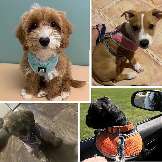 Puppy Harness and Leash Set - Dog Vest Harness for Small Dogs Medium Dogs- Adjustable Reflective Step in Harness for Dogs - Soft Mesh Comfort Fit No Pull No Choke (M, Light Green)