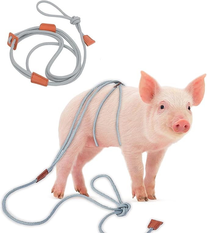 Pig Harness & Leash, Escape Prevention Adjustable Rope, All in One Design, All Life Stages Small to Medium Mini Pigs-5 Feet Long-Grey
