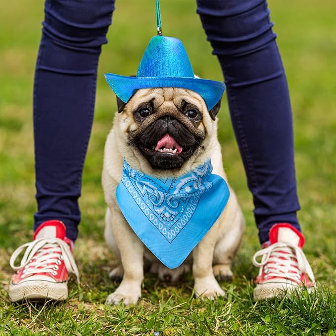 Yewong Pet Neon Sparkly Glitter Space Cowboy Hat Costume Set Dog Cat Metallic Space Shiny Cowboy Hats with Paisley Bandana West Cowboy Accessories for Pets (Metallic Blue) One Size