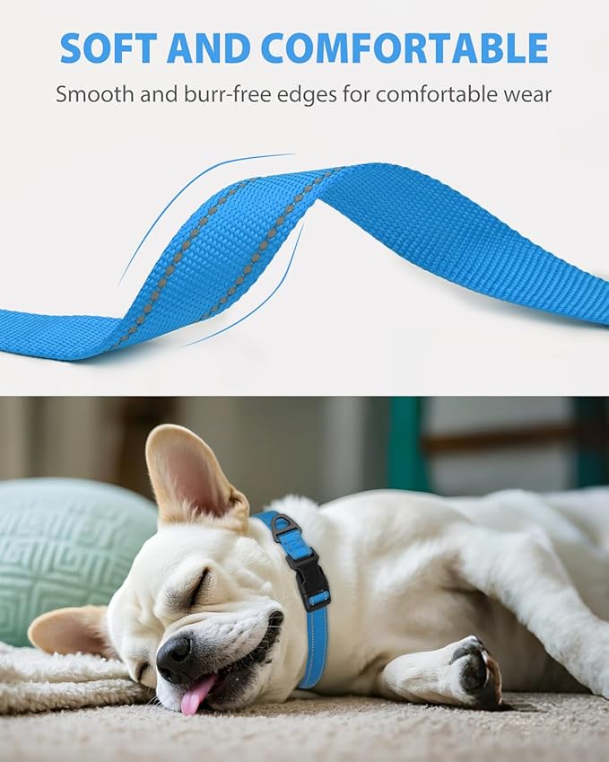 Joytale Small Dog Collar, Reflective and Adjustable Nylon Collar with Quick-Release Buckle, Lightweight No-Choke Design for Small Dogs, Sky Blue, 3/4" Width