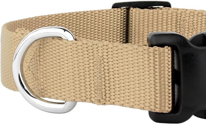 Country Brook Petz - American-Made Dog Collar for Large, Medium, and Small Dogs and Puppies - Deluxe Heavy Duty Nylon in 33 Dazzling Colors (Large, 1 Inch Wide, Copper Gold)
