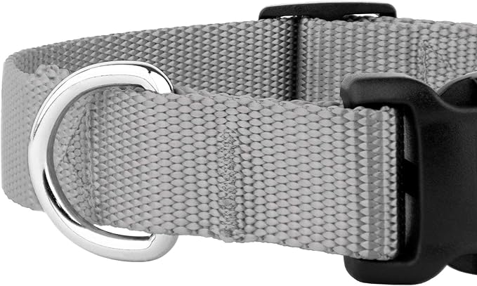 Country Brook Petz - American-Made Dog Collar for Large, Medium, and Small Dogs and Puppies - Deluxe Heavy Duty Nylon in 33 Dazzling Colors (3XS, 3/8 Inch Wide, Silver)
