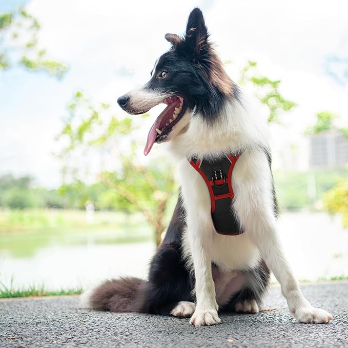 PHOEPET 2019 Upgraded No Pull Dog Harness, Reflective Adjustable Vest, with a Training Handle + 2 Metal Leash Hooks+ 3 Snap Buckles +4 Slide Buckles(M, Black)