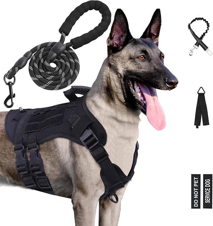 No Pull Tactical Dog Harness for Small Dogs, Escape Proof Molle Dog Vest Harness and Leash Set, Adjustable Military Service Dog Harness with Handle for Medium Large Dogs(Black, M)