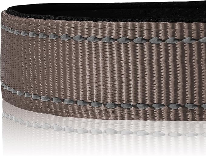 Joytale Reflective Dog Collar,Soft Neoprene Padded Nylon Pet Collar Adjustable for Large Dogs,Brown,Large
