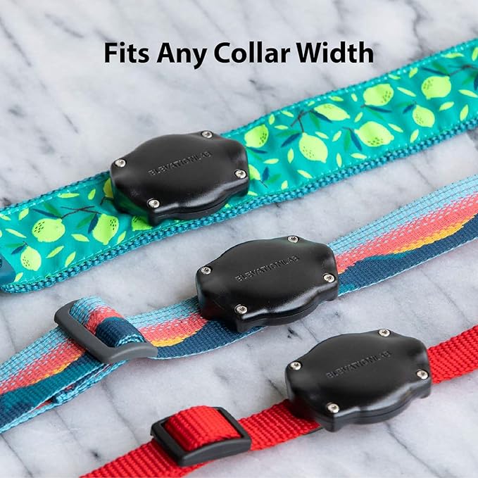 Elevation Lab TagVault AirTag Dog Collar Mount (Pack of 2) - IP69 Waterproof, Doesn't Dangle, Fits All Width Collars, Black