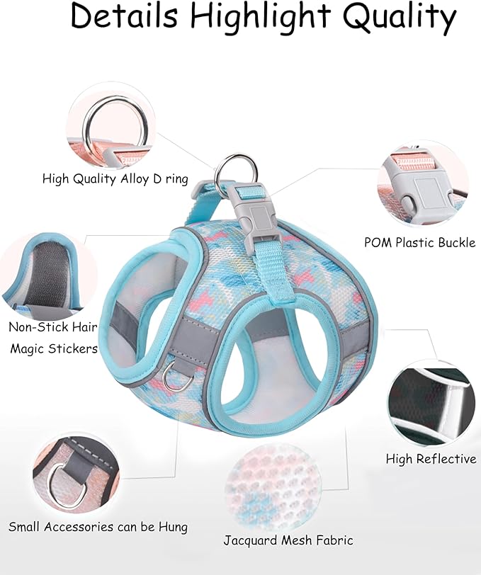 Dog Harness and Leash Set for Small Medium Dogs, No Pull, Step-in, Cat Harness (Blue, XS)