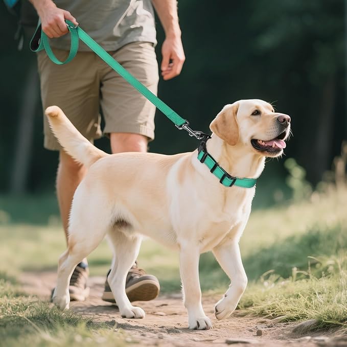 Joytale Reflective Dog Collar,Soft Neoprene Padded Breathable Nylon Pet Collar Adjustable for Extra Large Dogs,Teal,XL