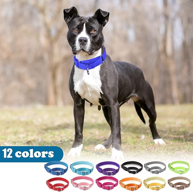 Cunno 12 Pcs Martingale Collar for Medium Dogs Reflective Dog Collar with Durable Metal Buckle Adjustable Nylon Pet Prevent Slipping Out for Pupplies, 12 Colors(Medium)