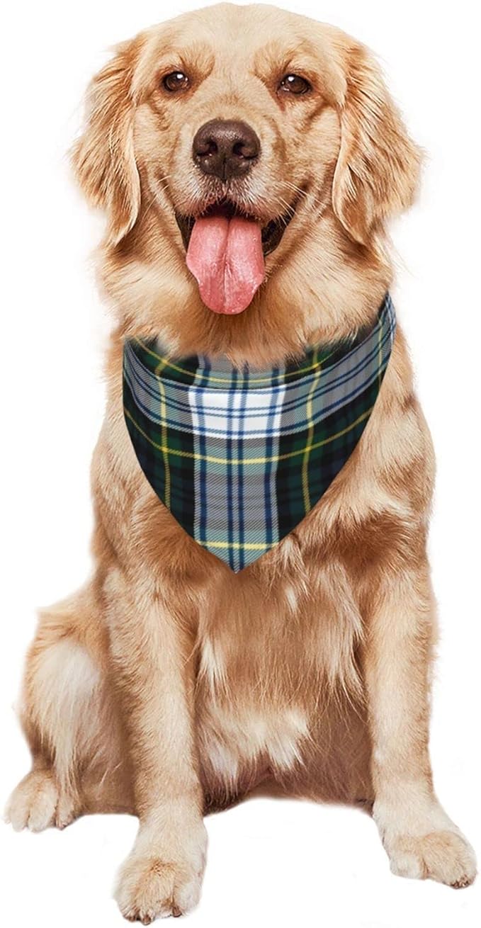Pet Triangle Scarf, Plaid Tartan Clan Gordon Scottish Green White Bandana for Cats Dogs, Pet Clothing Accessory for Small to Large Pets