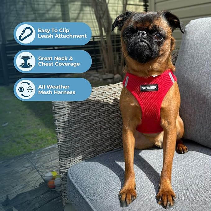 Voyager Step-in Air Cat Harness - All Weather Mesh Step in Vest Harness for Small and Medium Cats by Best Pet Supplies - Set (Red), XXXS