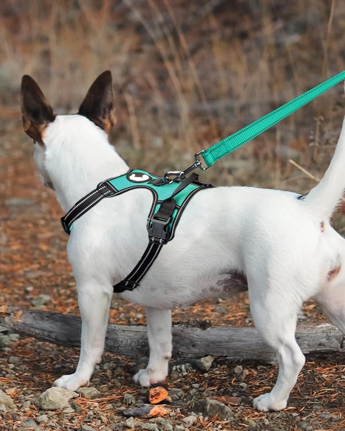 Joytale Double-Sided Reflective Dog Leash, 6 FT/5 FT/4 FT, Padded Handle Nylon Heavy Duty Leashes for Small & Medium Dogs Walking, Teal, 6FT