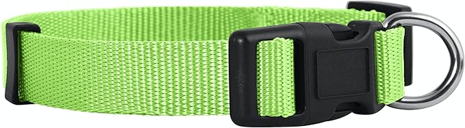 Native Pup Basic Nylon Dog Collar, Adjustable for Small, Medium, Large pet and Puppies Accessories, Cute Colors for Male, Female, boy, Girl, Puppy (Small, Neon)