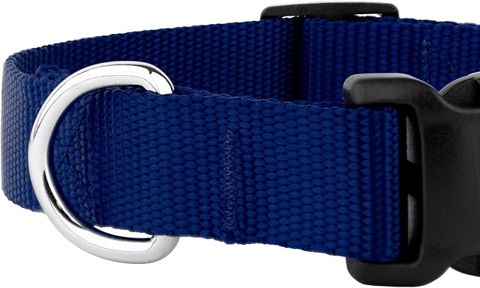 Country Brook Petz - American-Made Dog Collar for Large, Medium, and Small Dogs and Puppies - Deluxe Heavy Duty Nylon in 33 Dazzling Colors (Small, 3/4 Inch Wide, Royal Blue)