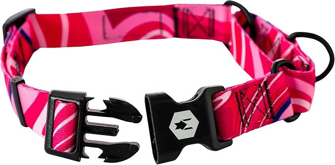 Wolfgang Heavy Duty Martingale Dog Collar with Quick Release Nylon Buckle for Walking & Training, MarbleSwirl Print, X-Large