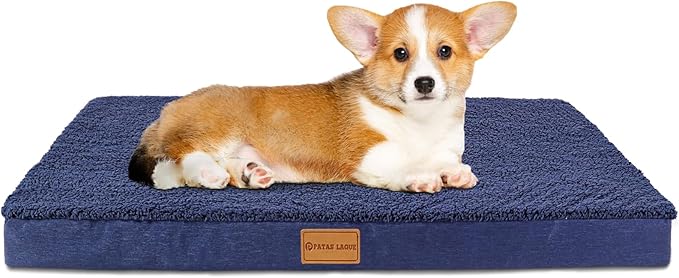 Patas Lague Orthopedic Dog Bed for Small Dogs, Soft Comfortable Waterproof Egg Crate Foam Small Pet Beds Mat with Removable Washable Cover, 20''X15'' Navy Blue