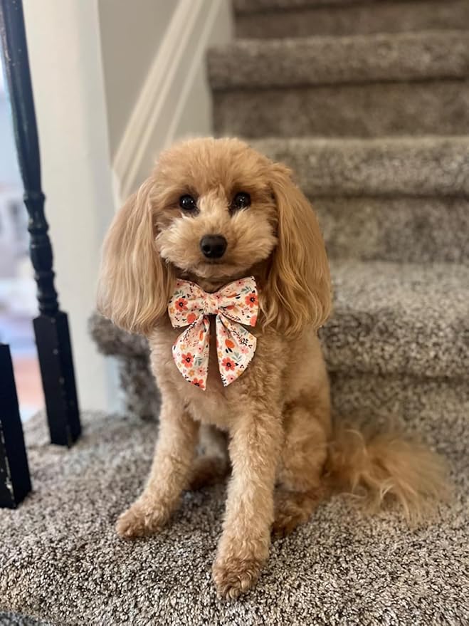 Lionet Paws Design Dogs Collar Cute Flower Sailor Bow Dog Collars for Girl Female Small Medium Dogs with Summer Floral S