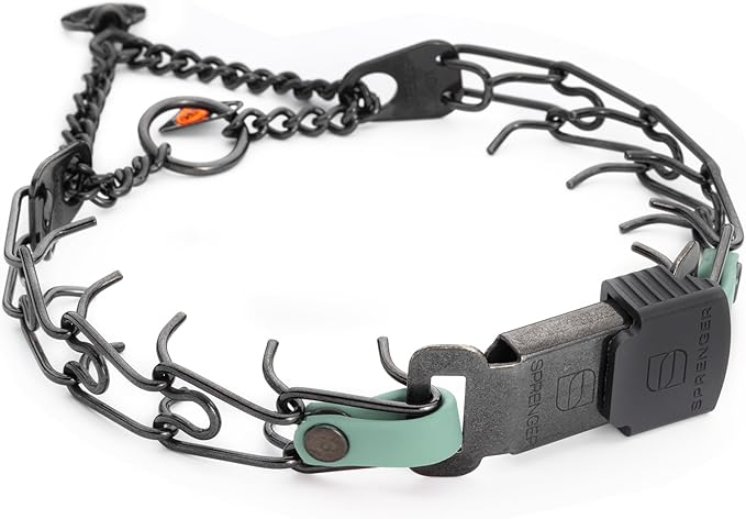 Herm Sprenger Black Stainless Steel Dog Collar with Quick Release ClicLock Buckle and Biothane Insert Training Collar Made in Germany (Sage Green, 16in x 2.25mm(Neck Size up to 13-14in))