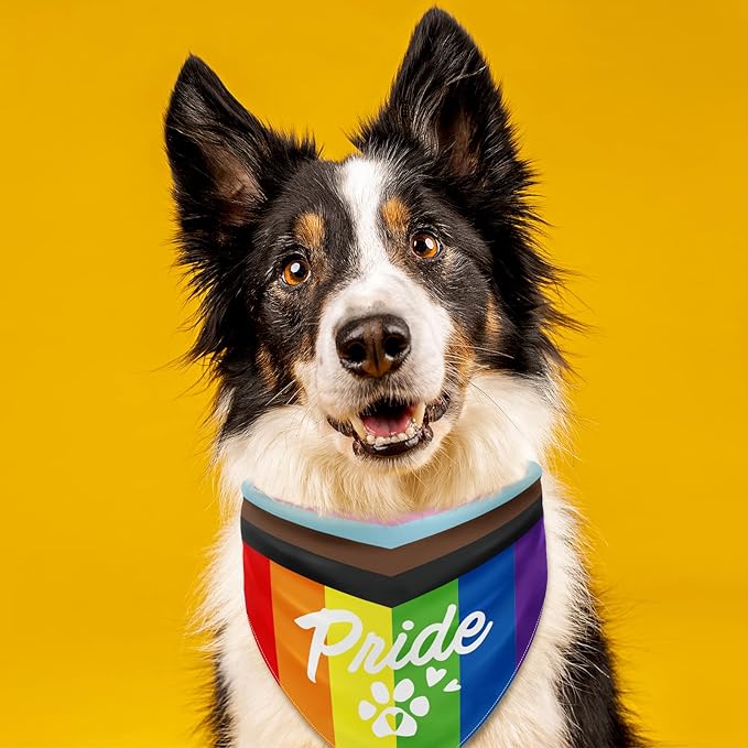 Whaline Rainbow Dog Bandanas Love is Love Pride Triangle Bibs Dog Paw Pet Scarf Reversible Double-Sided Pet Neckerchief for Pride Day Small Medium Large Pet Cat Dog Costume Accessories, 5 Pack