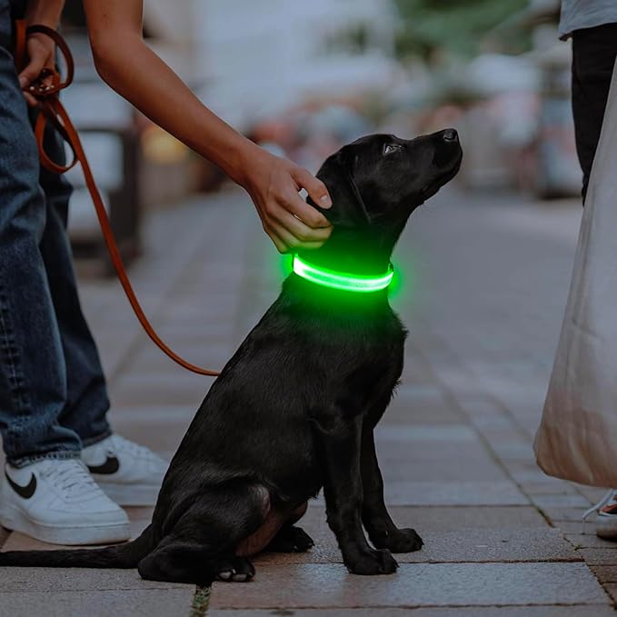 Illumifun LED Collar for Small Dogs, USB Rechargeable Light Up Dog Collars, Flashing Pet Safety Light Glow in The Dark (Green, Small)