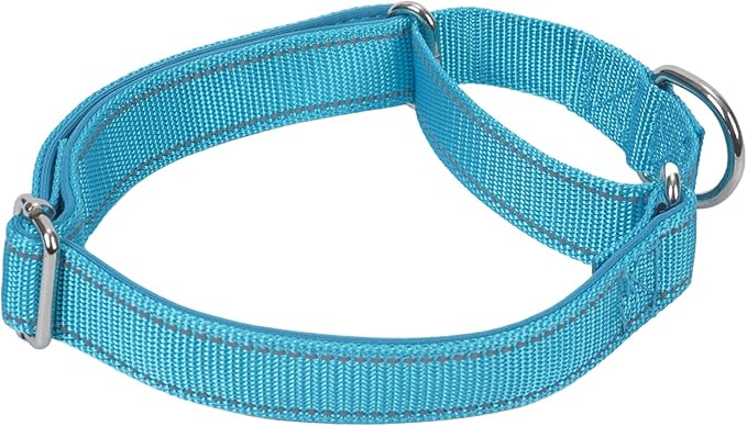 SGODA Martingale Dog Collar, Reflective Nylon Padded Dog Training Collars for Large Dogs, Blue L