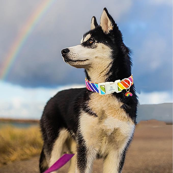 Lionheart glory Rainbow Pattern Dog Collar-Colorful Dog Collars Heavy Duty Adjustable Pride Collars for Small Dogs Pet Gift Summer Holiday Dog Collars Cute