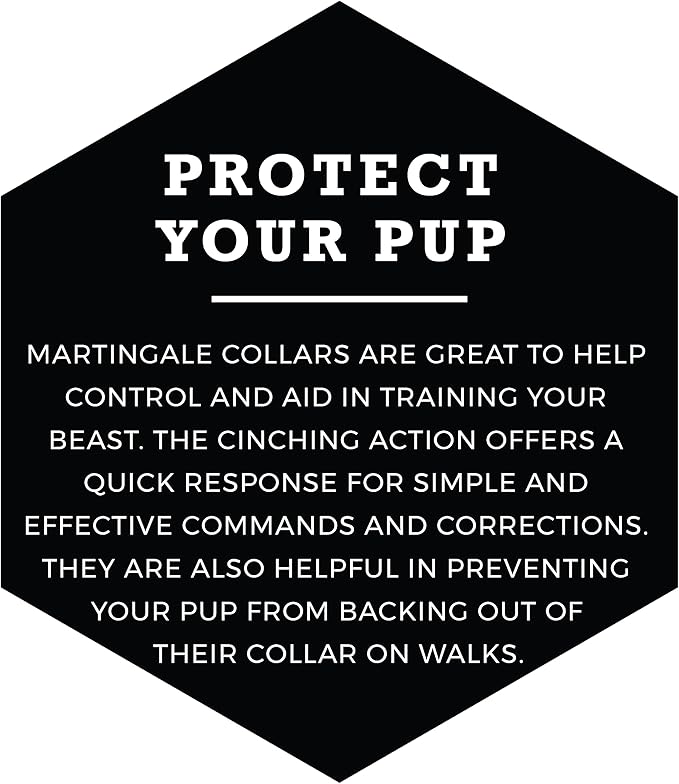 Wolfgang Heavy Duty Martingale Dog Collar with Quick Release Nylon Buckle for Walking & Training, GreatEscape Print, Extra Large