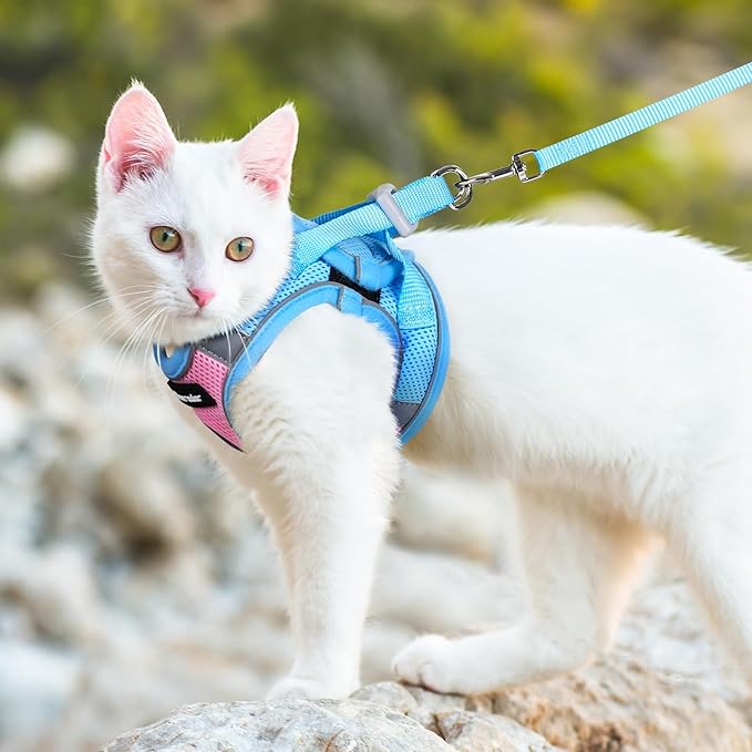 Dooradar Cat Harness and Leash Set, Escape Proof Lightweight Kitten Harness, Soft Breathable Reflective Vest for Outdoor Walking Traveling, Adjustable for Small Cats, Pink & Blue, S