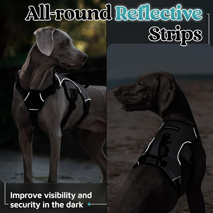 rabbitgoo Escape Proof Dog Harness, Soft Padded Full Body Pet Harness, Reflective Adjustable No Pull Vest with Lift Handle and Leash Clip for Large Dogs Walking Hiking Training, XL, Grey