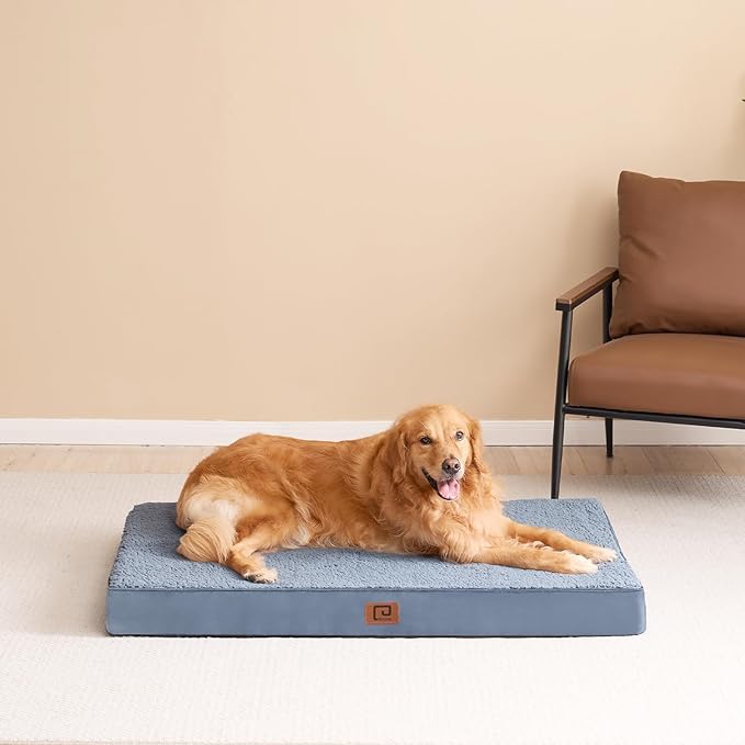 EHEYCIGA Washable Dog Beds for Extra Large Dogs, XL Dog Bed with Removable Cover for Crate, Orthopedic Foam Pet Bed Dog Mat Mattress Cushions for Extra Large Dogs, Spa Blue(41 X 27)