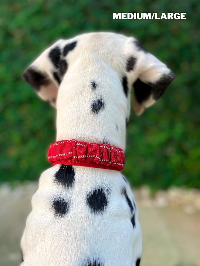 Heavy Duty Dog Collar with Handle | Ballistic Nylon Heavy Duty Collar | Padded Reflective Dog Collar with Adjustable Stainless Steel Hardware | Convenient Sizing for All Breeds